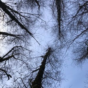 Meet your Posher, Nathan